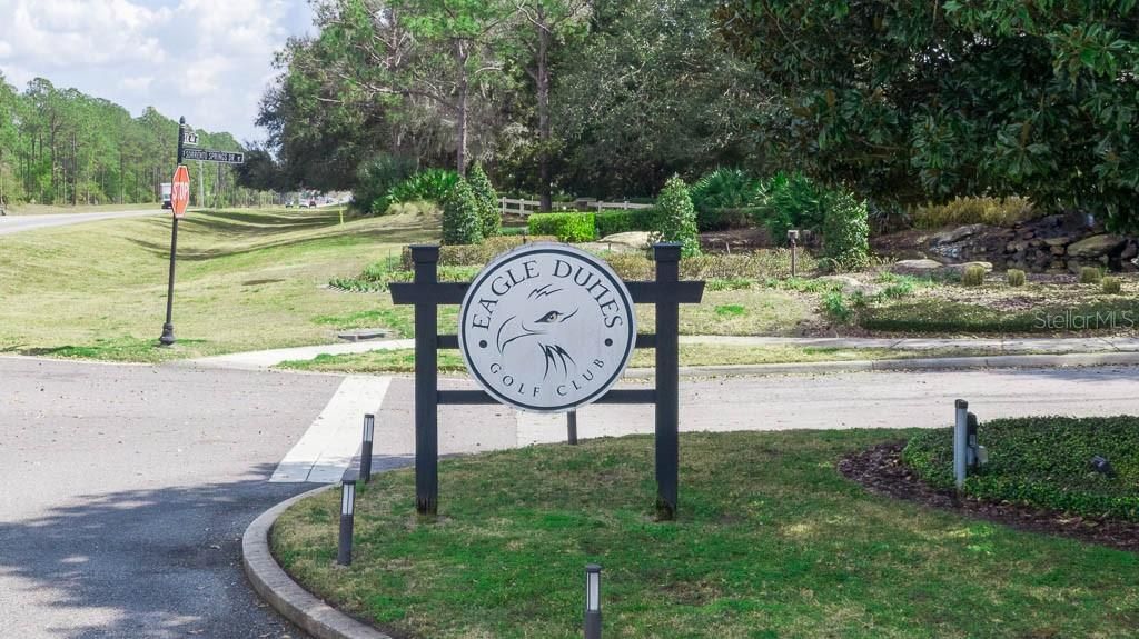 33803 Terragona Drive, Sorrento, FL 32776 Photo