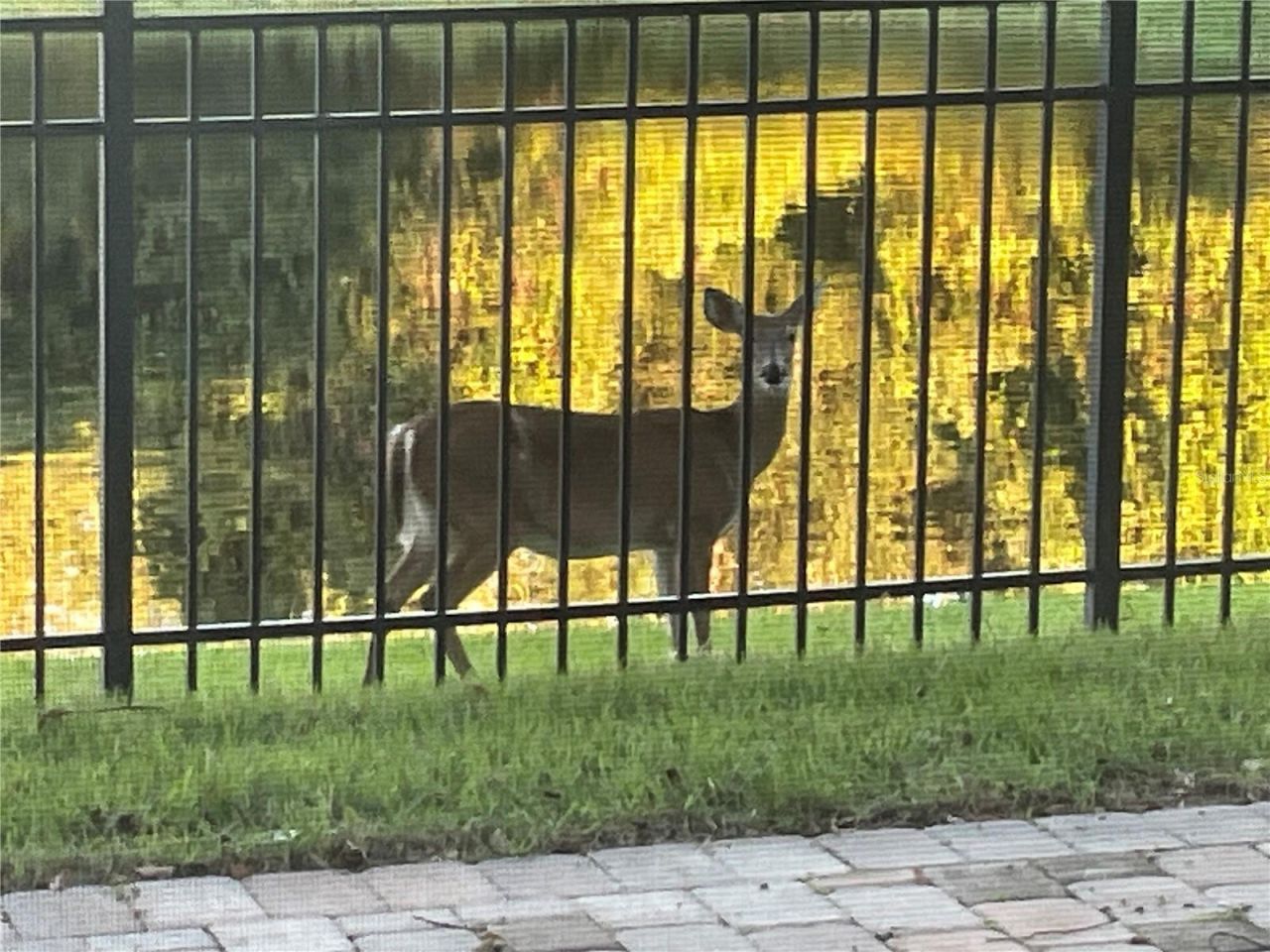 2535 Teton Stone Run, Orlando, FL 32828 Photo