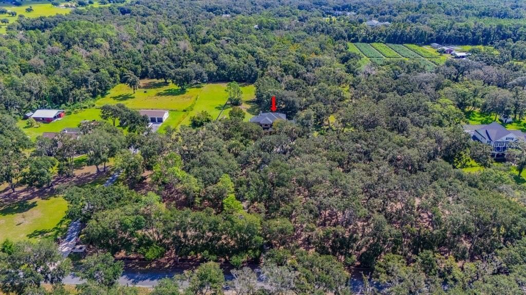 11832 Neal Road, Lithia, FL 33547 Photo