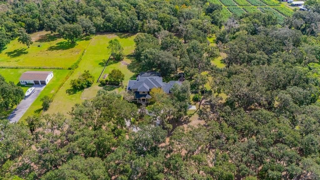 11832 Neal Road, Lithia, FL 33547 Photo