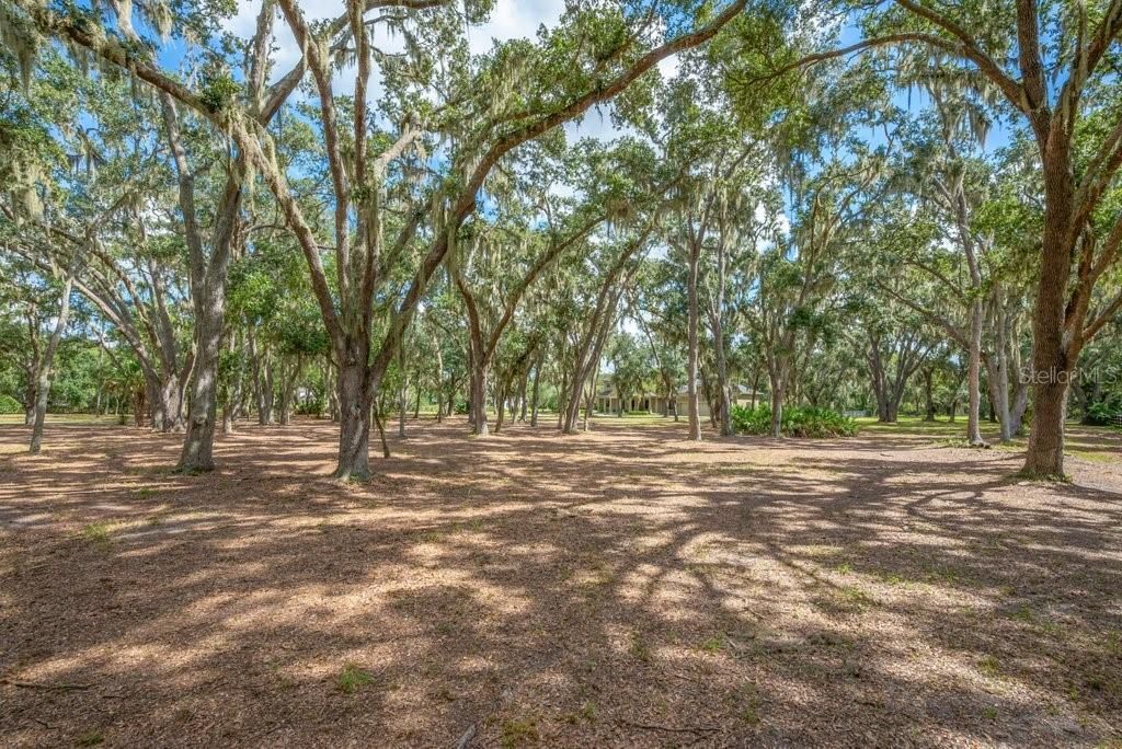 11832 Neal Road, Lithia, FL 33547 Photo