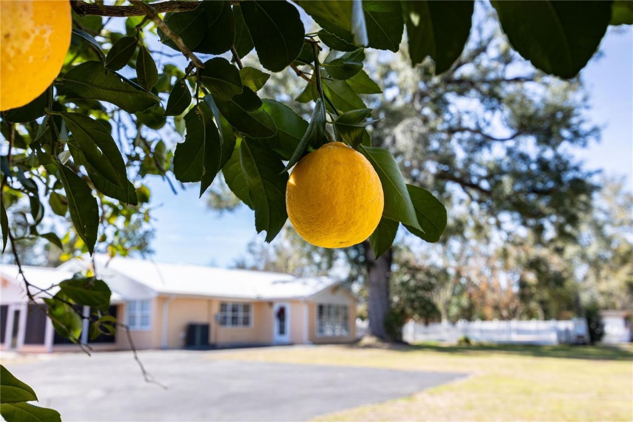 11085 E Us Highway 90, Lee, FL 32059 Photo