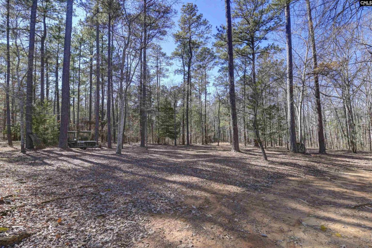 1221 Counts Ferry Road  Photo 86