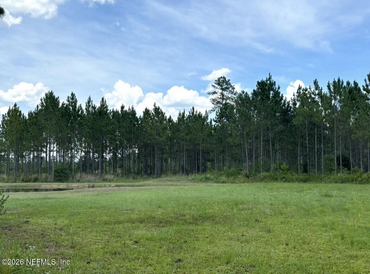 3162 Yellow Water Road, Jacksonville, FL 32234 Photo