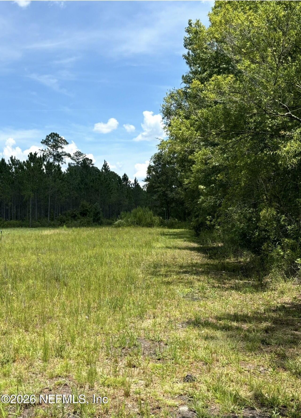 3162 Yellow Water Road, Jacksonville, FL 32234 Photo