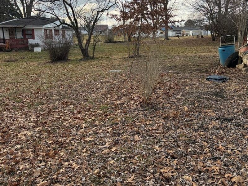 227 Bridge Street, Duncan Falls, OH 43734 Photo 3