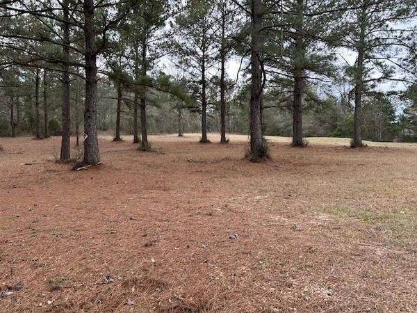 26585 OLD LAKE Road, Mount Hermon, LA 70450