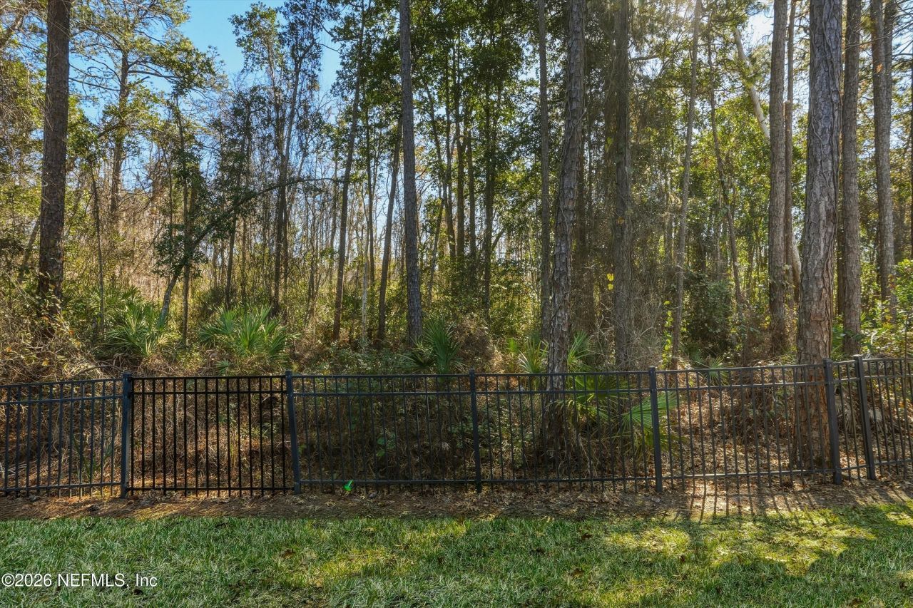 14519 Starbuck Springs Way, Jacksonville, FL 32258 Photo