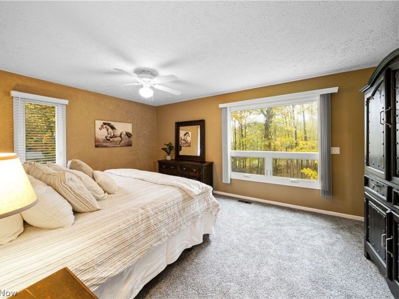 8266 Pebble Creek Court, Chagrin Falls, OH 44023 Photo 19