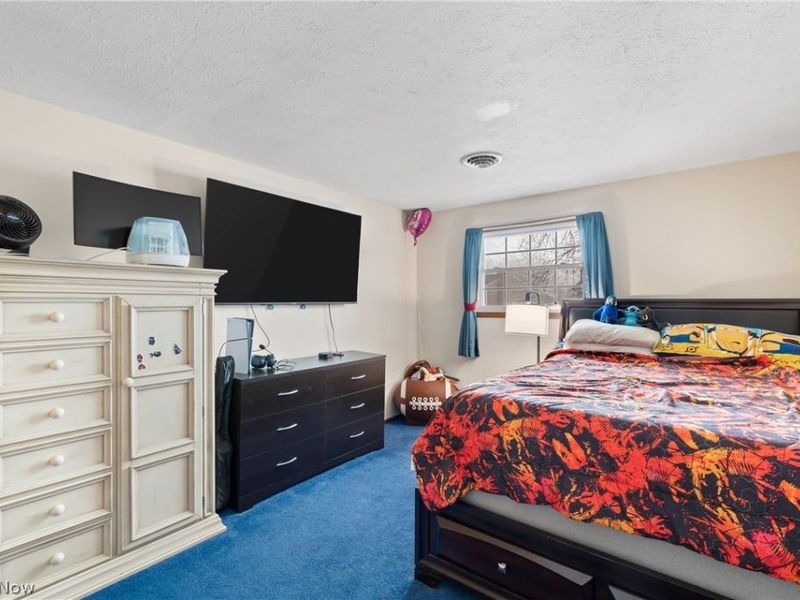 715 Carol Lane, Elyria, OH 44035 Photo 15