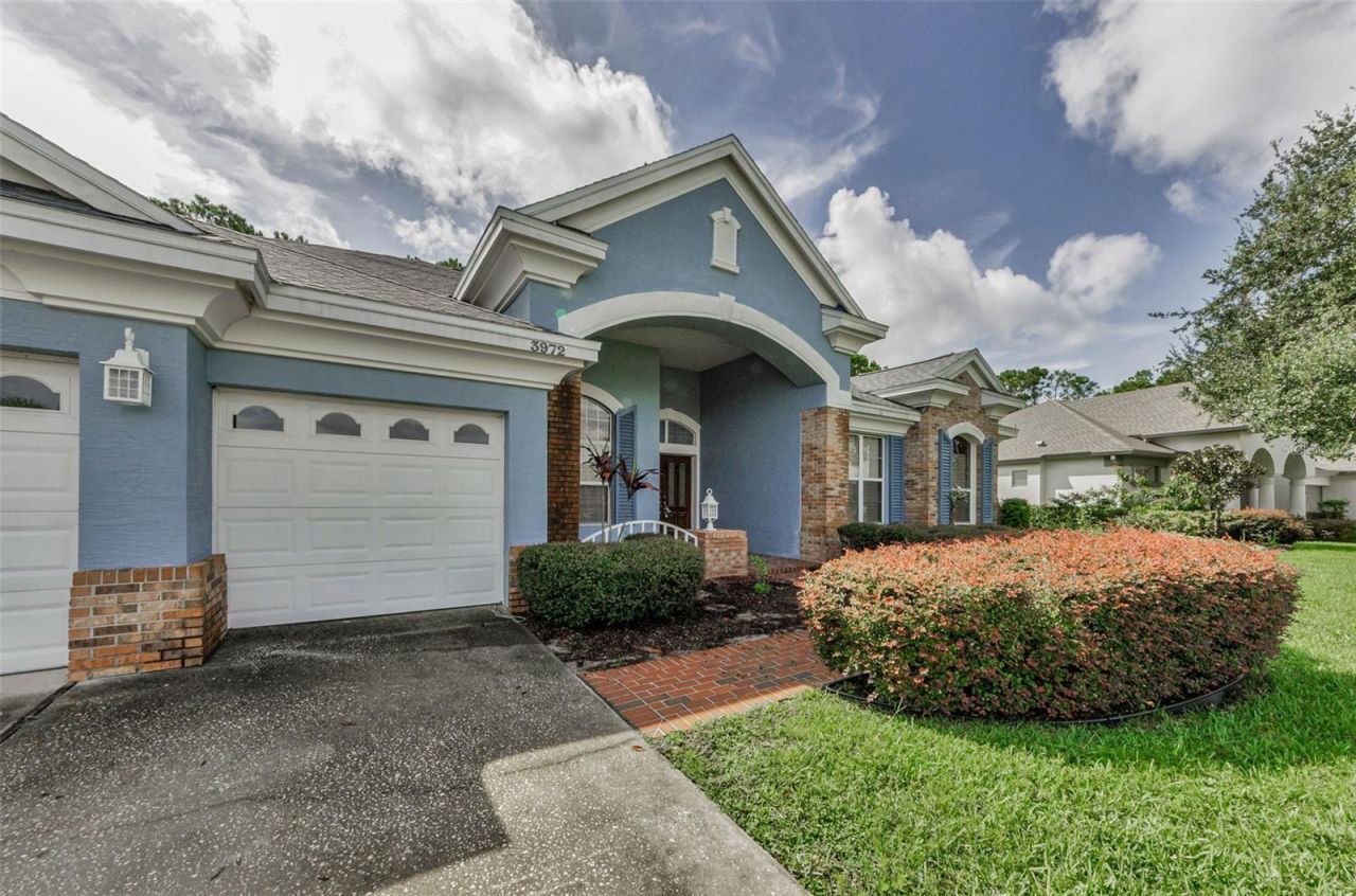 3972 Mimosa Place, Palm Harbor, FL 34685 Photo
