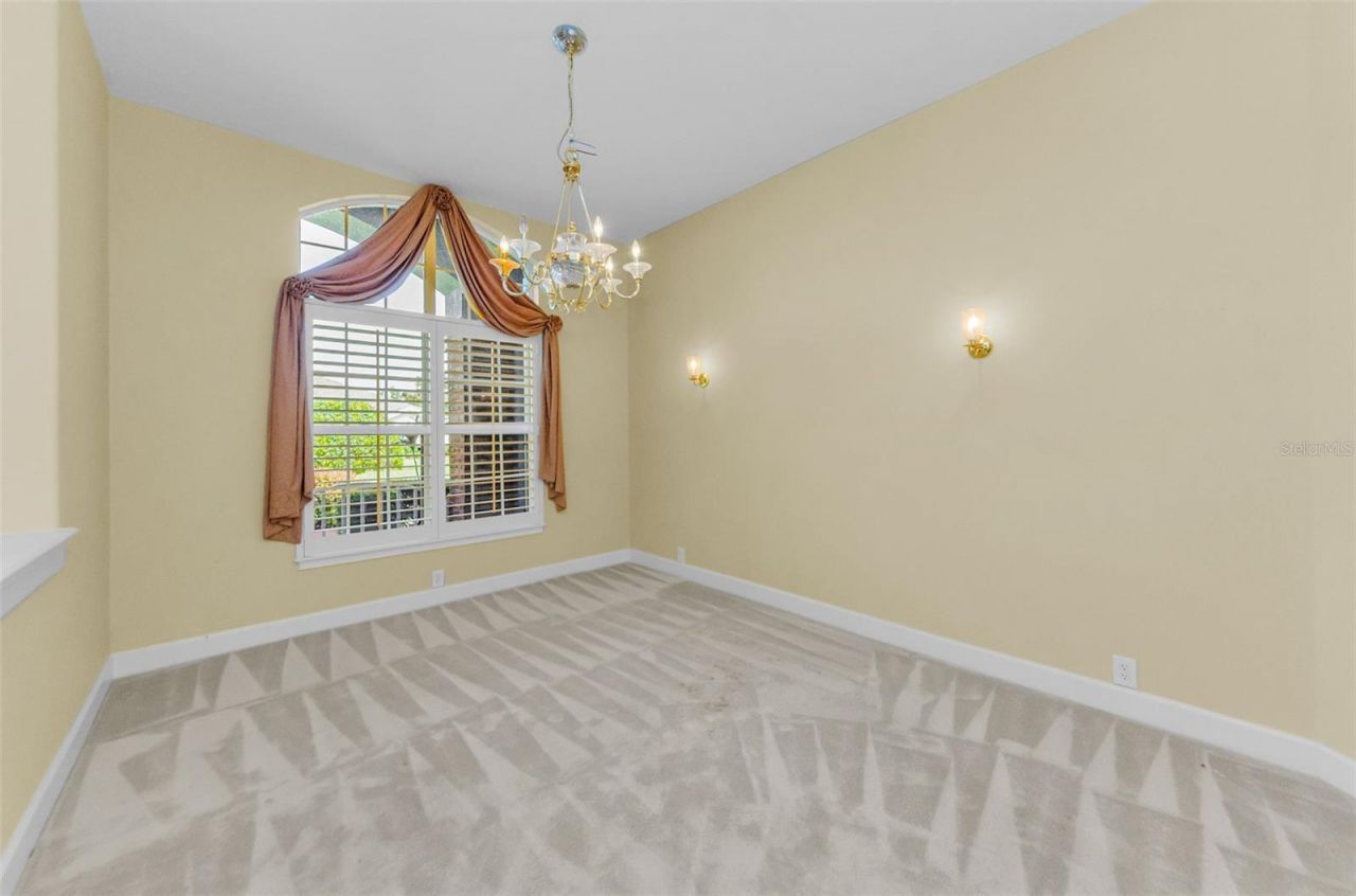 3972 Mimosa Place, Palm Harbor, FL 34685 Photo
