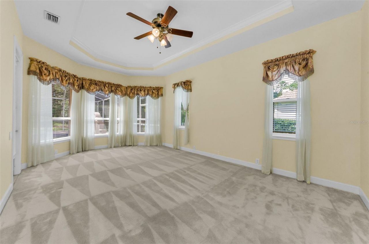 3972 Mimosa Place, Palm Harbor, FL 34685 Photo