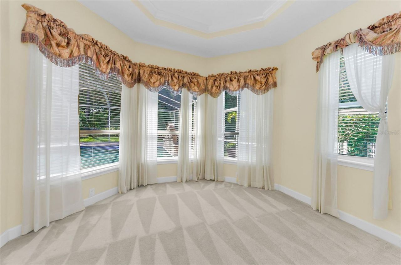 3972 Mimosa Place, Palm Harbor, FL 34685 Photo