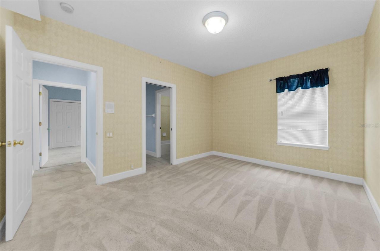 3972 Mimosa Place, Palm Harbor, FL 34685 Photo