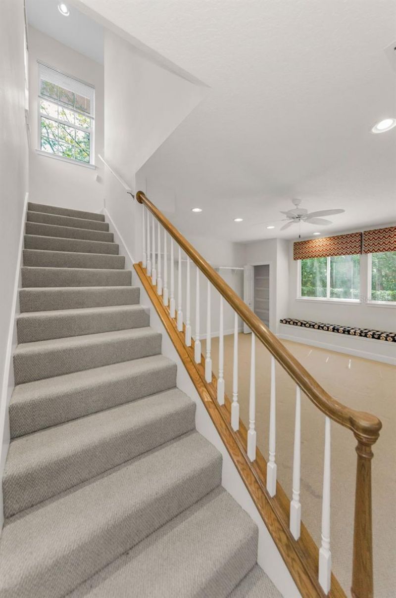 3972 Mimosa Place, Palm Harbor, FL 34685 Photo