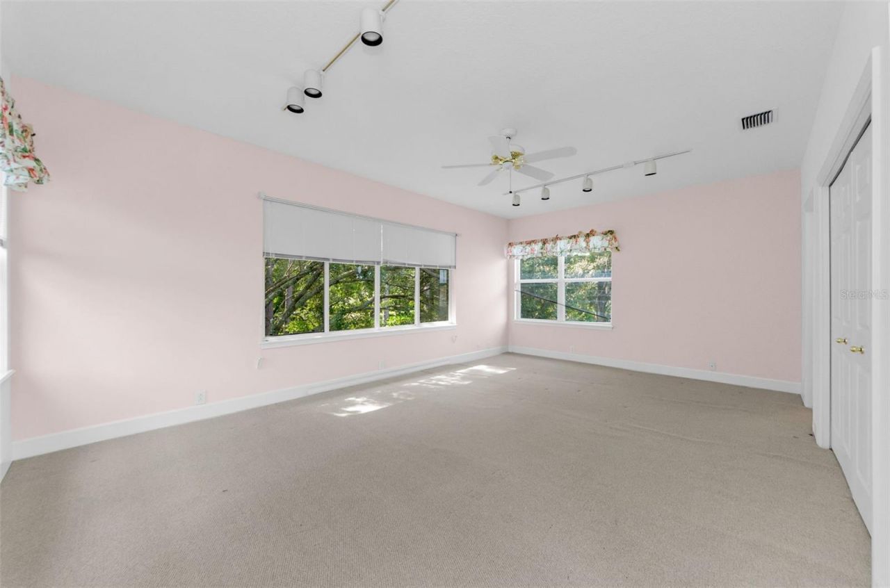 3972 Mimosa Place, Palm Harbor, FL 34685 Photo