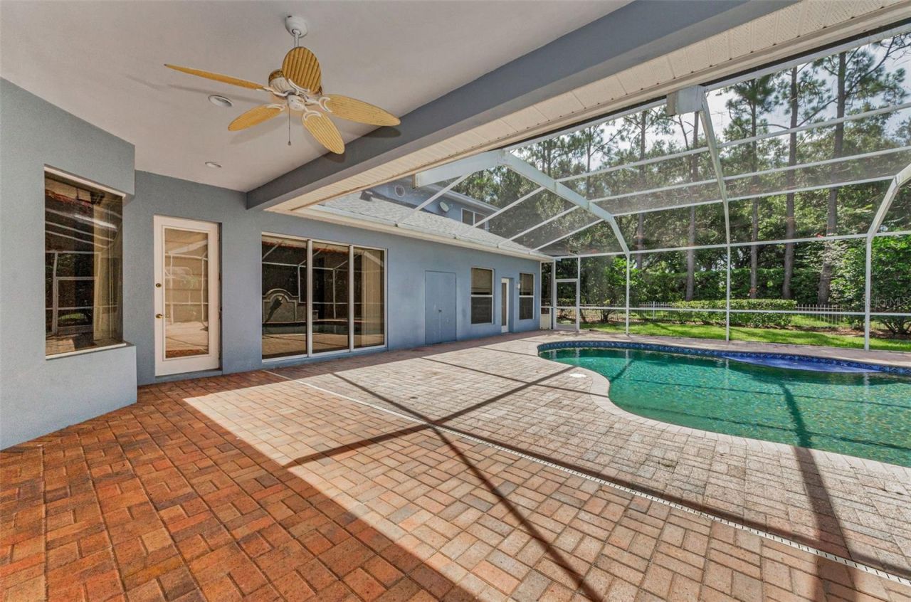 3972 Mimosa Place, Palm Harbor, FL 34685 Photo