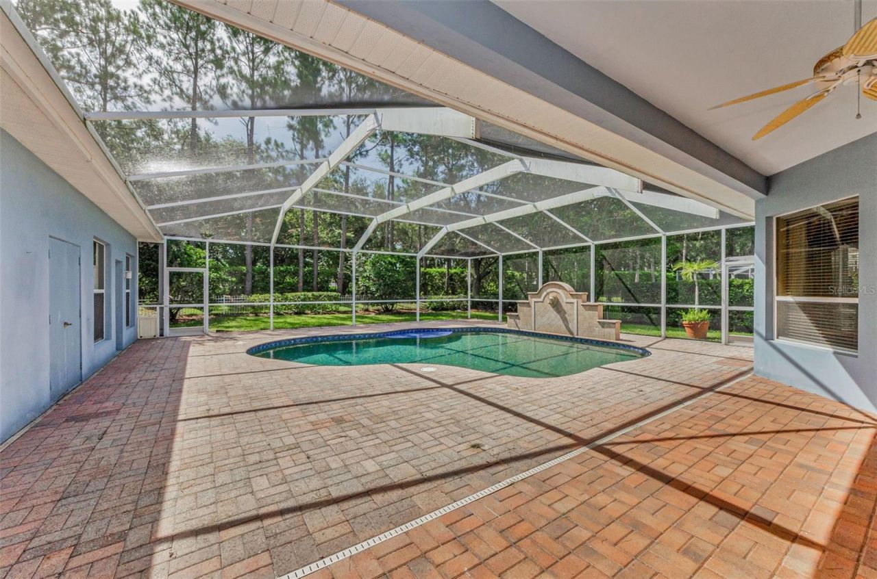 3972 Mimosa Place, Palm Harbor, FL 34685 Photo