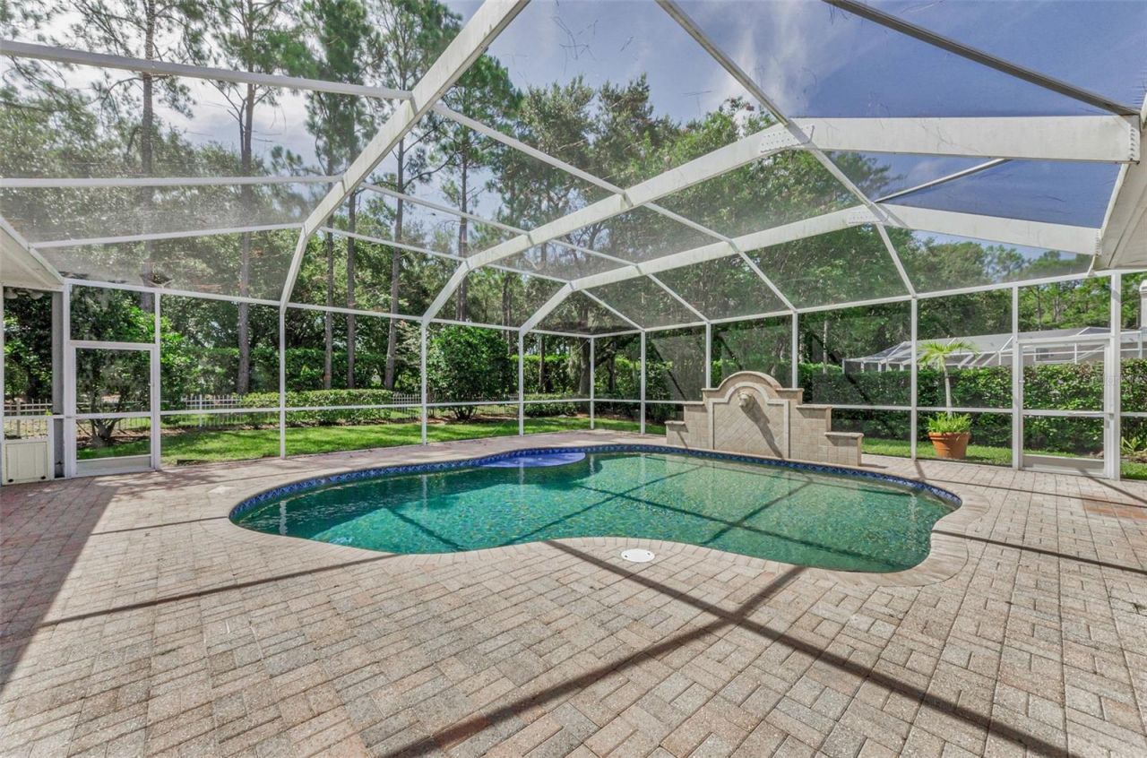 3972 Mimosa Place, Palm Harbor, FL 34685 Photo