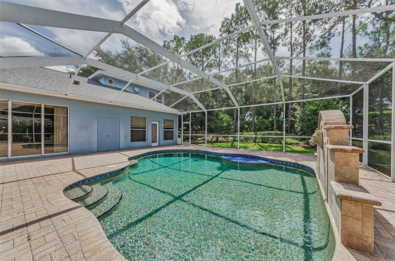 3972 Mimosa Place, Palm Harbor, FL 34685 Photo