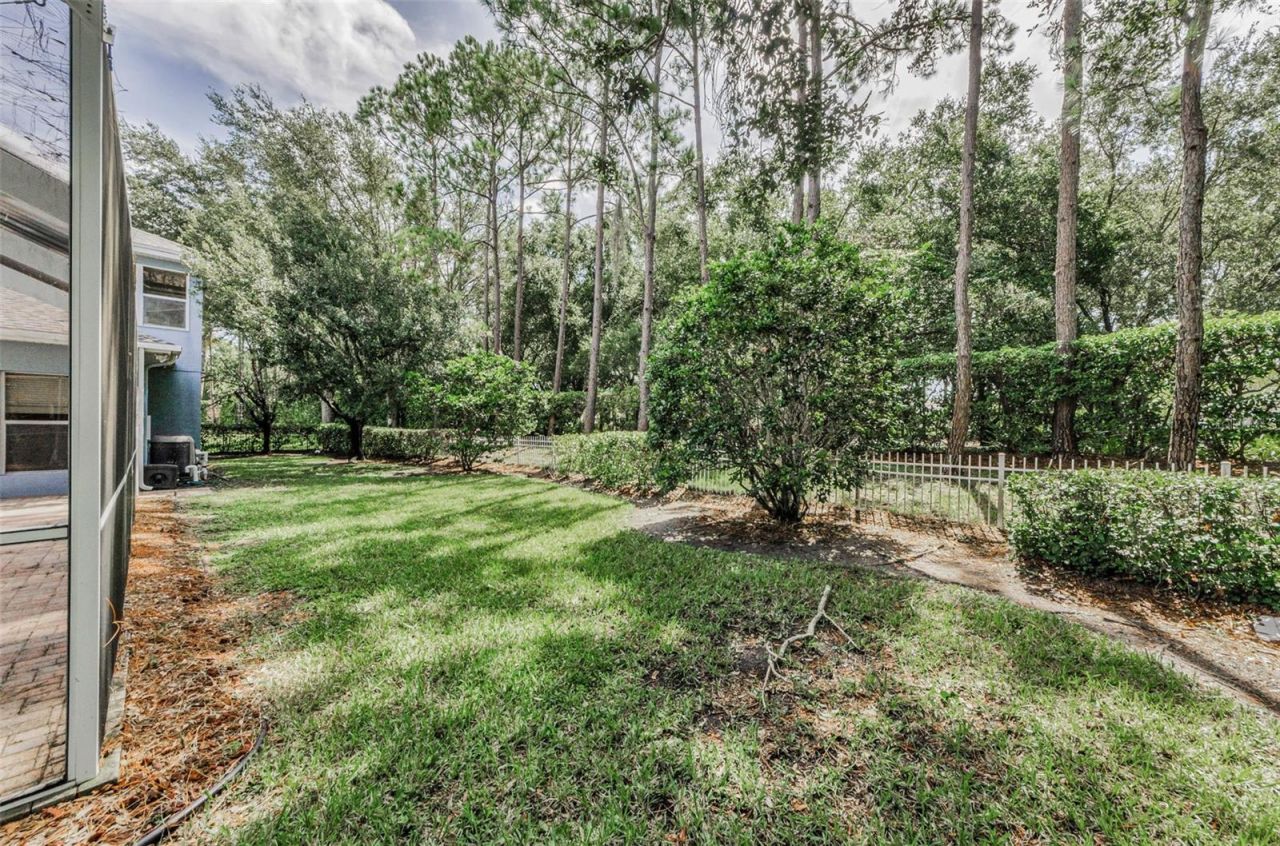 3972 Mimosa Place, Palm Harbor, FL 34685 Photo