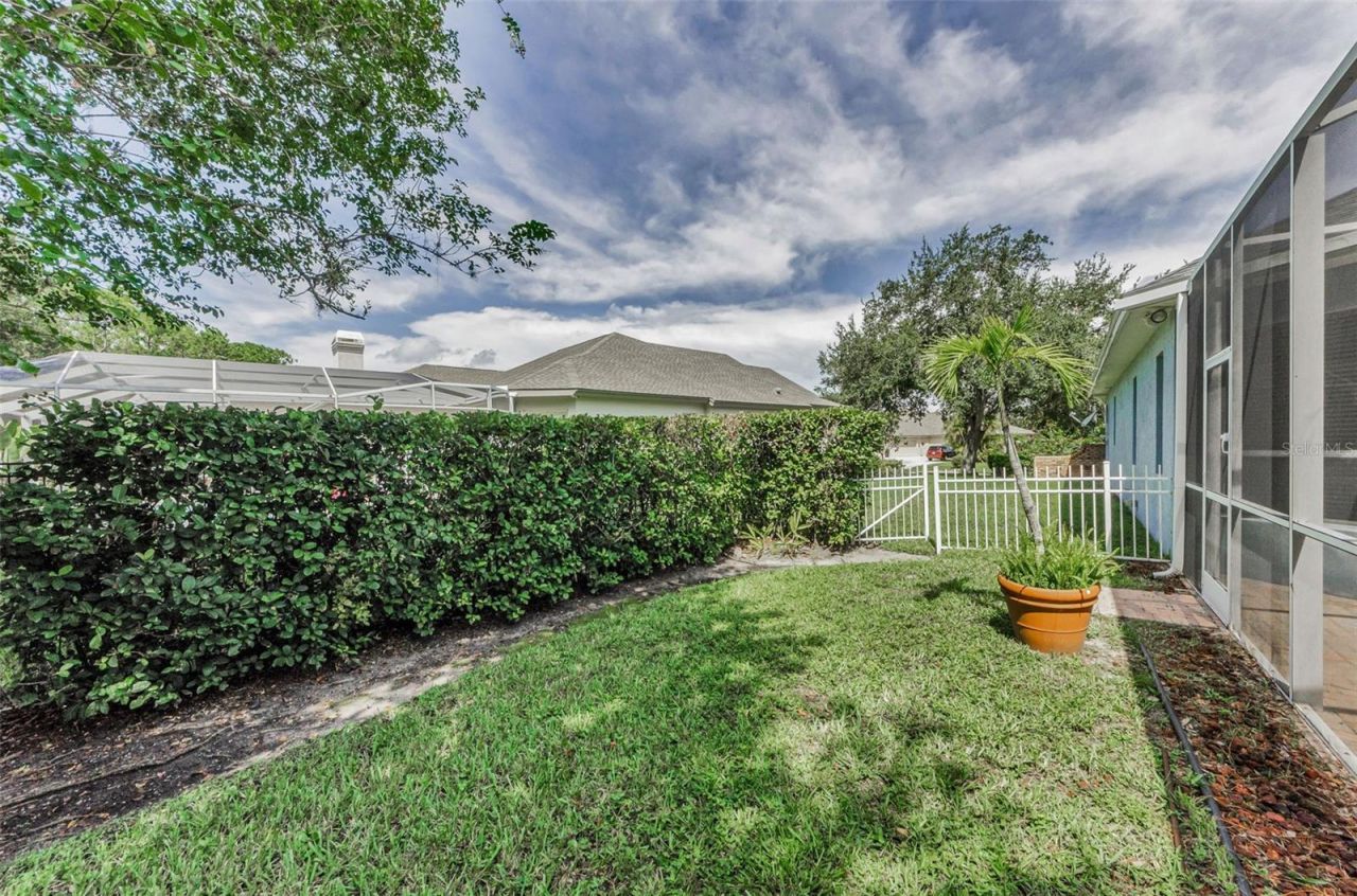3972 Mimosa Place, Palm Harbor, FL 34685 Photo