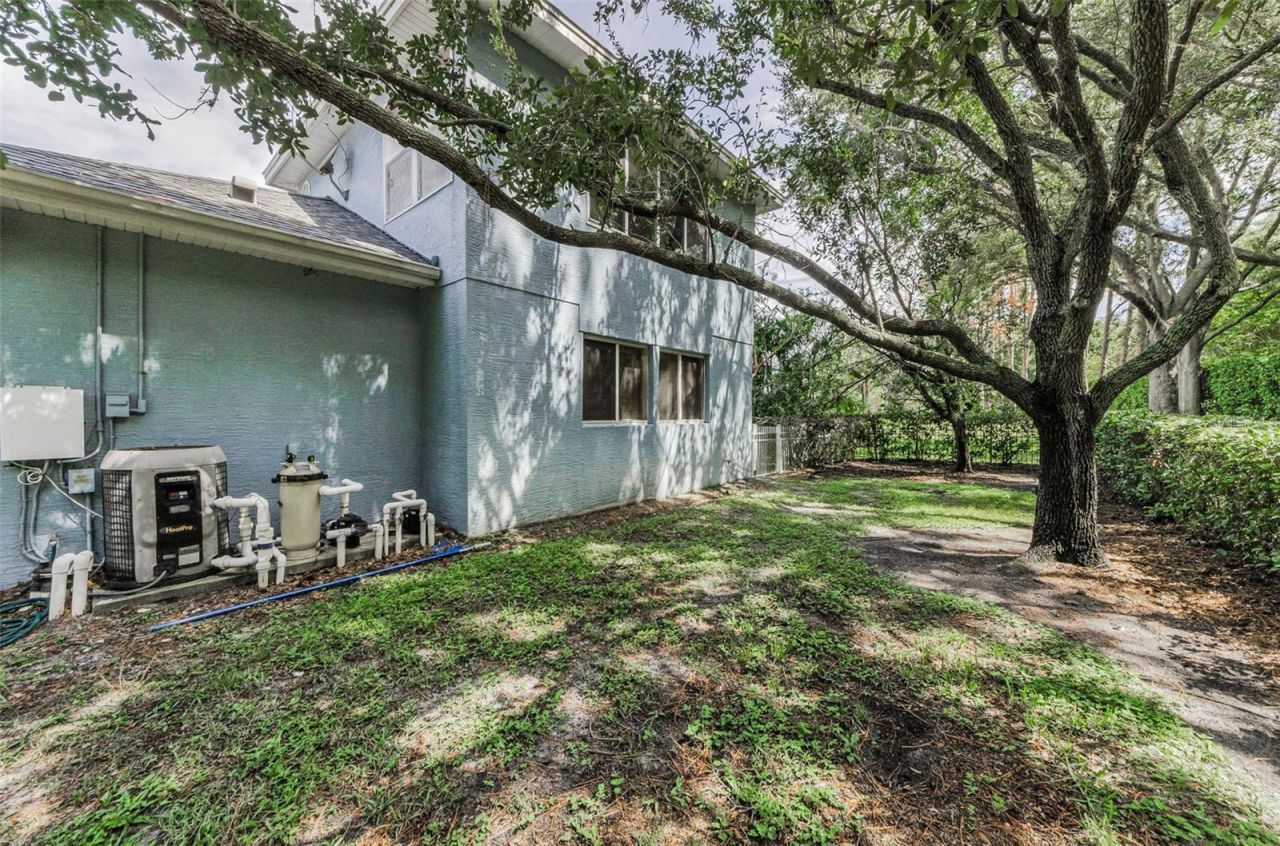 3972 Mimosa Place, Palm Harbor, FL 34685 Photo