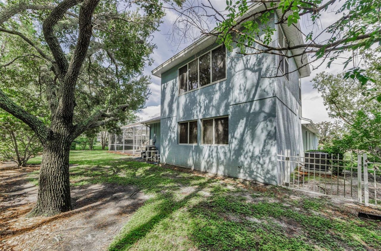 3972 Mimosa Place, Palm Harbor, FL 34685 Photo