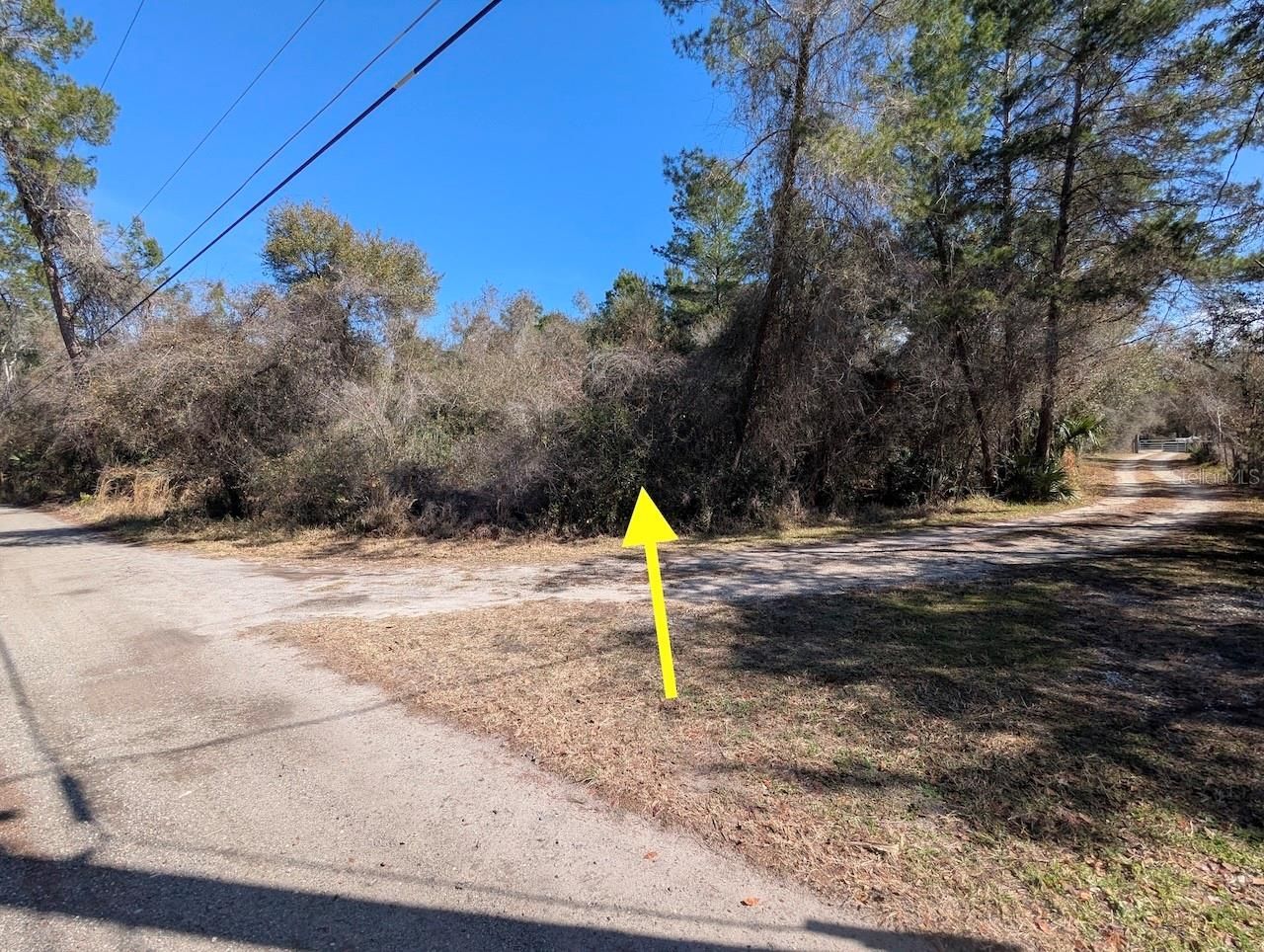 Cochran Road, Geneva, FL 32732 Photo