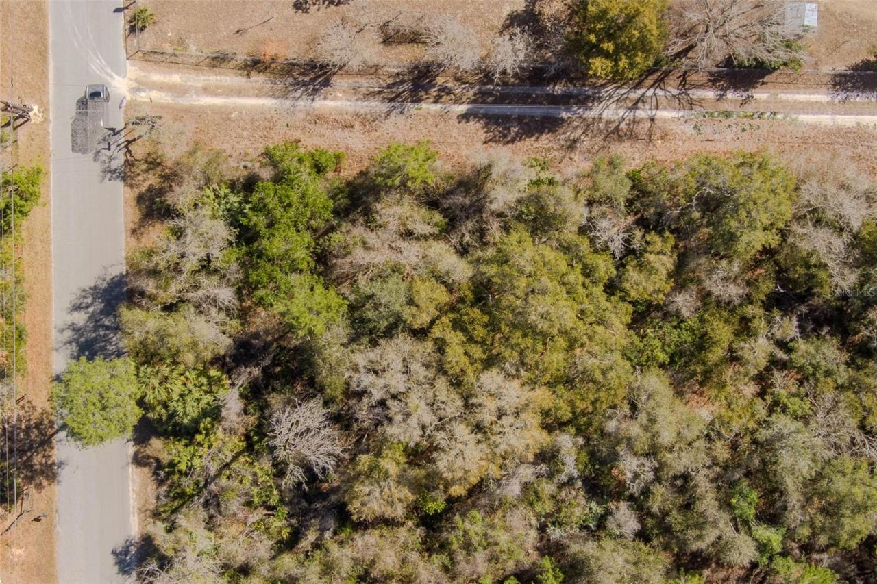 Cochran Road, Geneva, FL 32732 Photo