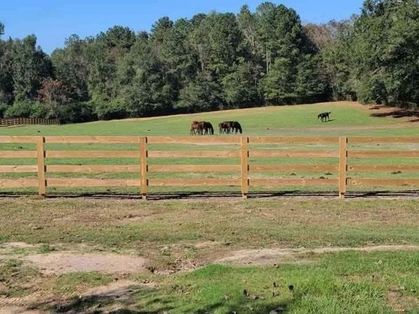 14712 GRACI Road, Folsom, LA 70437