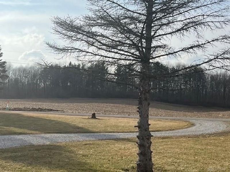 11010 Morrison Mikesell Road, New Paris, OH 45347 Photo 18