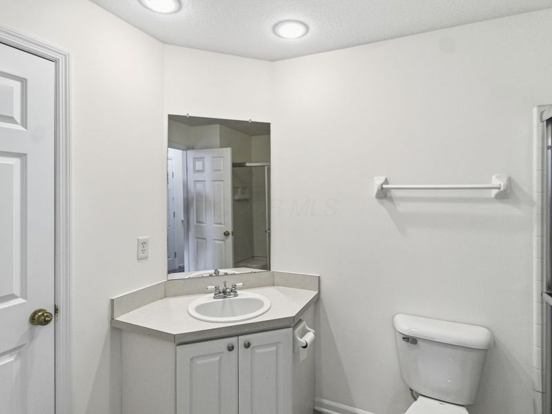 5006 Ivyvine Boulevard, Dublin, OH 43016 Photo 22