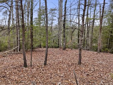 235 Eureka Road, Zoe, KY 41397