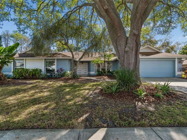 4616 WESTFORD CIRCLE, TAMPA, FL 33618