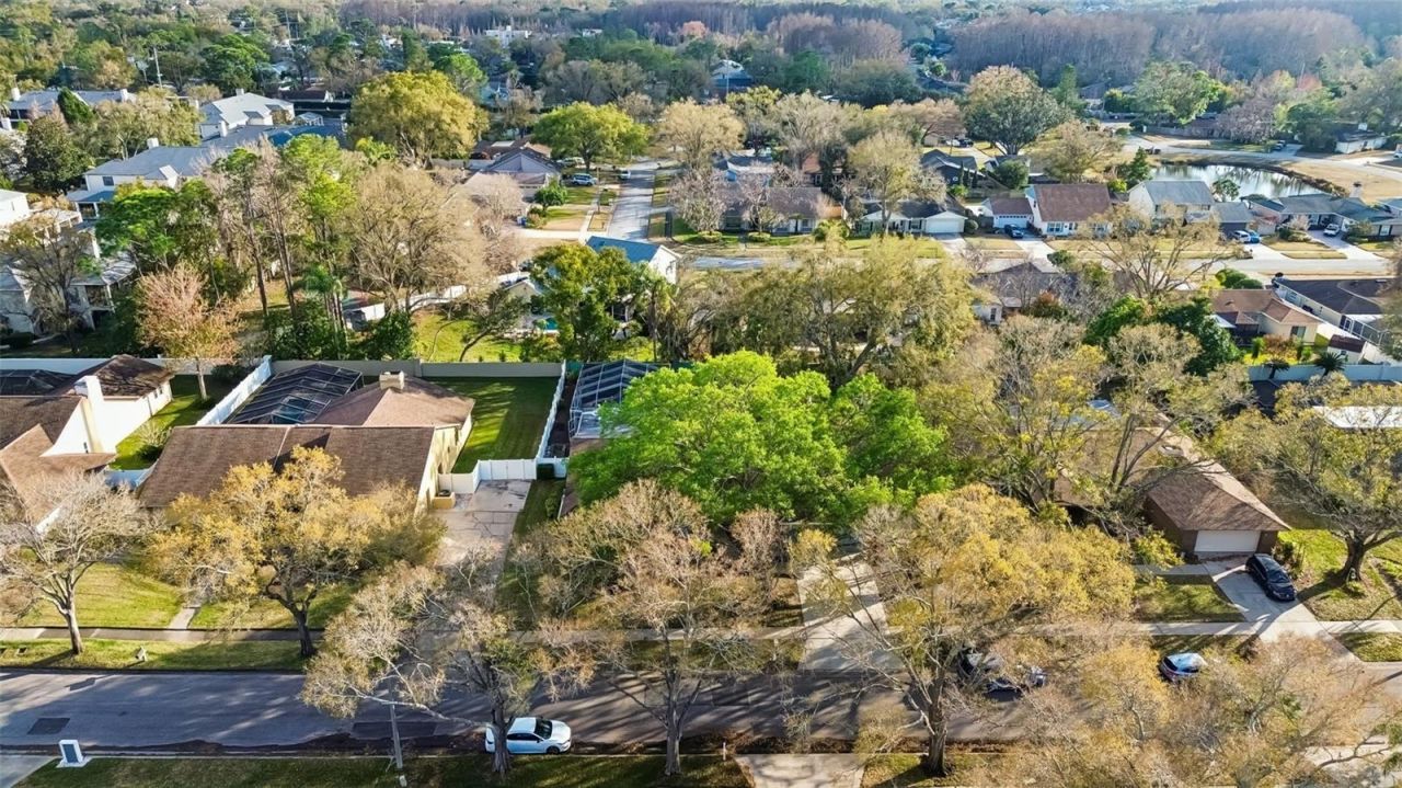 4616 Westford Circle, Tampa, FL 33618 Photo