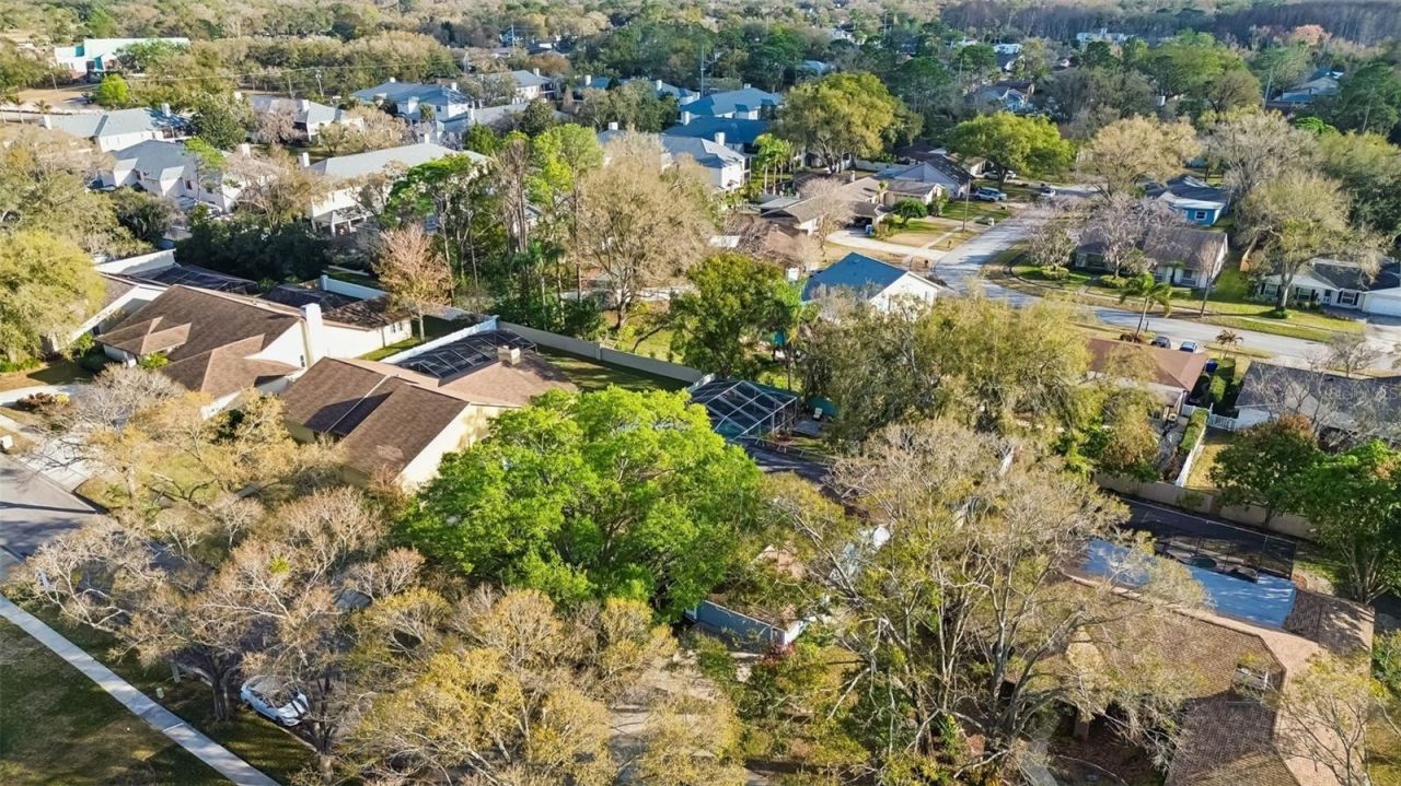 4616 Westford Circle, Tampa, FL 33618 Photo