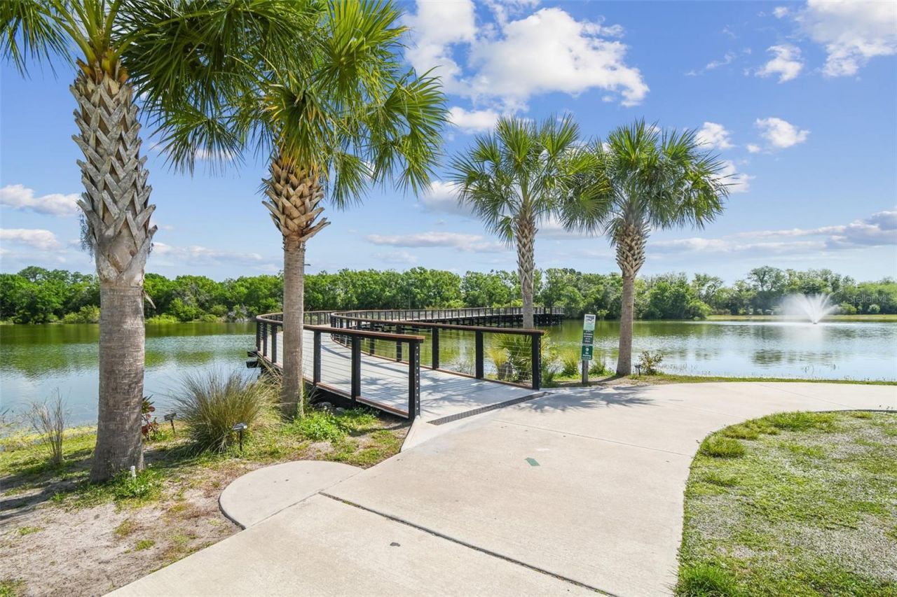 4616 Westford Circle, Tampa, FL 33618 Photo