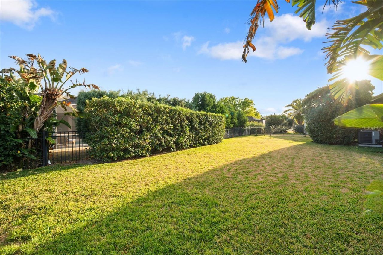 10648 Gooseberry Court, Trinity, FL 34655 Photo