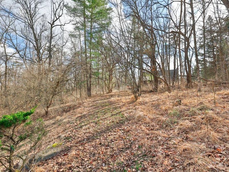 11675 New Biddinger Road, Harrison, OH 45030 Photo 46