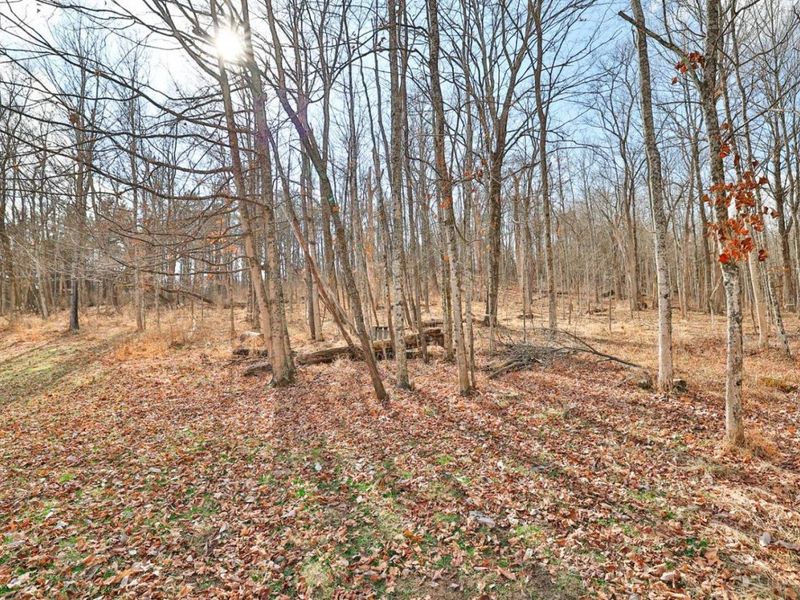 11675 New Biddinger Road, Harrison, OH 45030 Photo 48