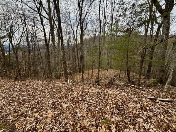 7/AC TBD Pinnacle Point, Mooresburg, TN 37811