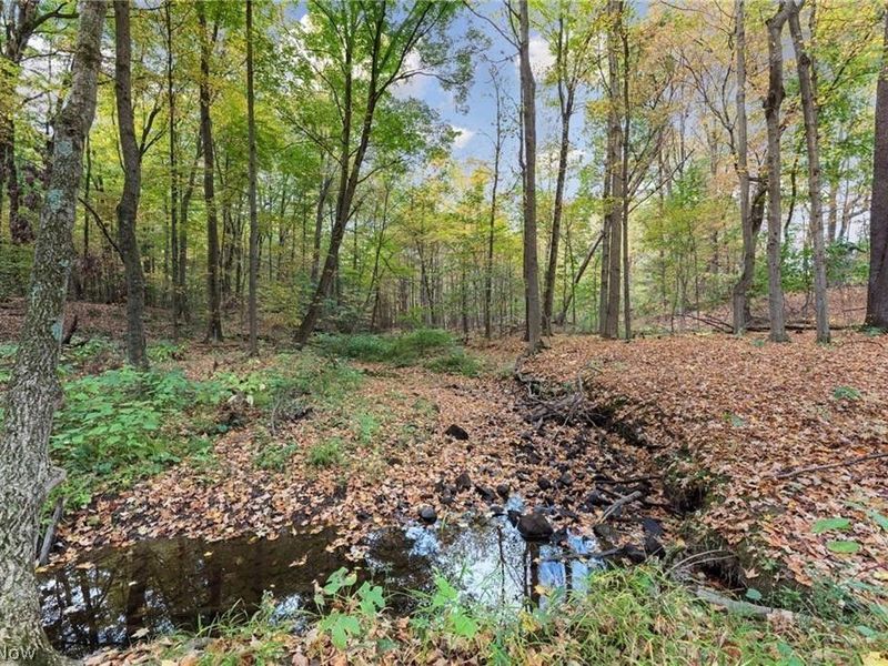 550 Warner Road SE, Vienna, OH 44403 Photo 48