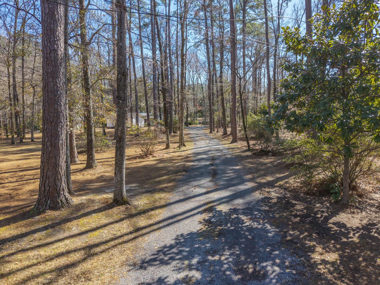 148 Patrick Lane Photo 37