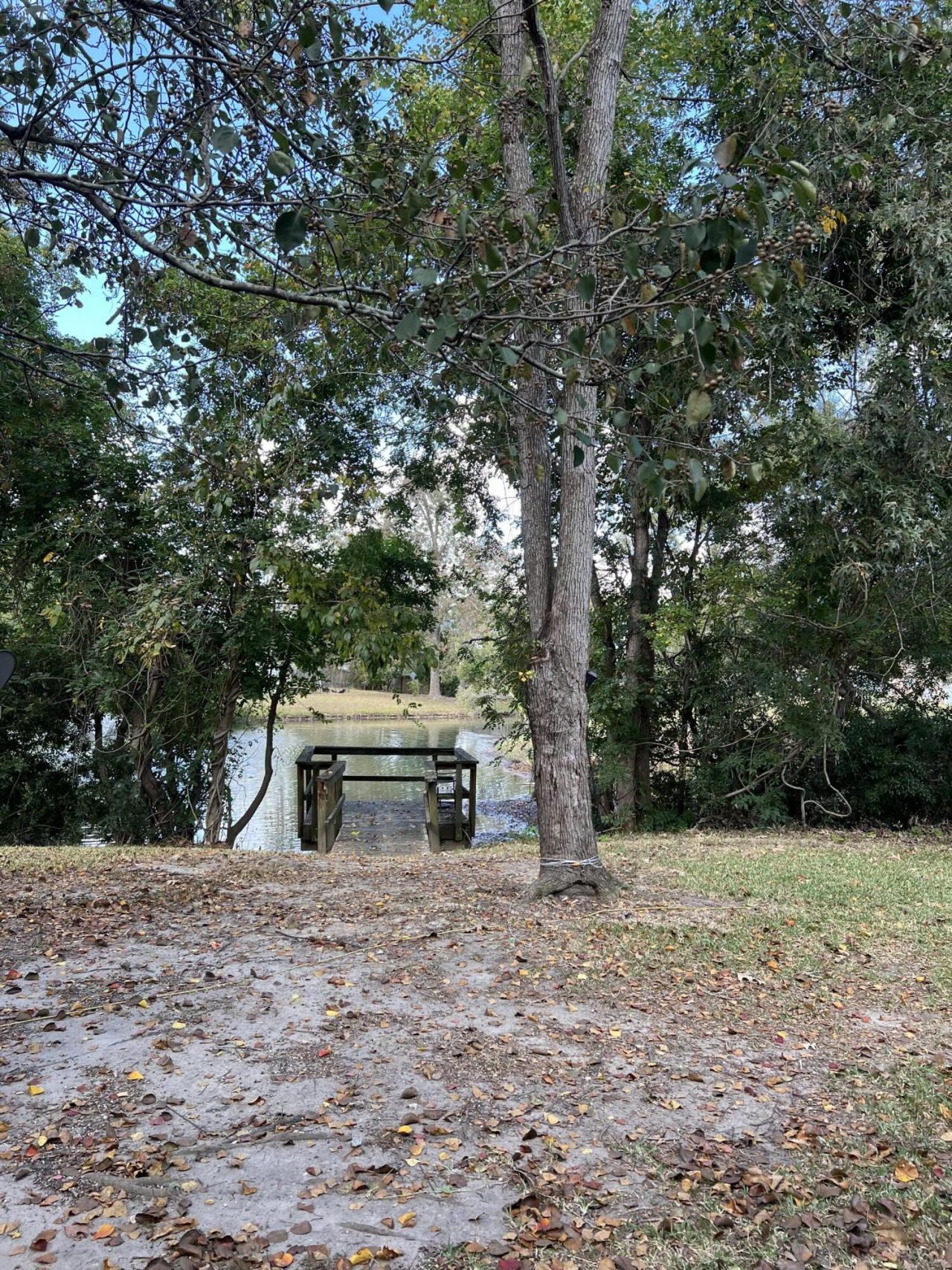 8589 Lake Marion Drive Photo 27