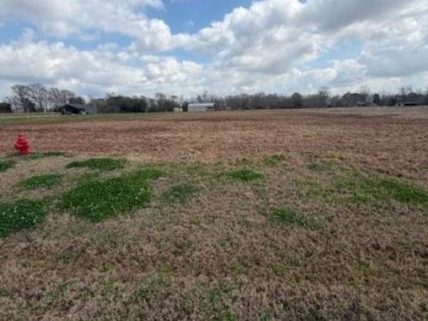 4568 NAVYS Way, Boyce, LA 71409