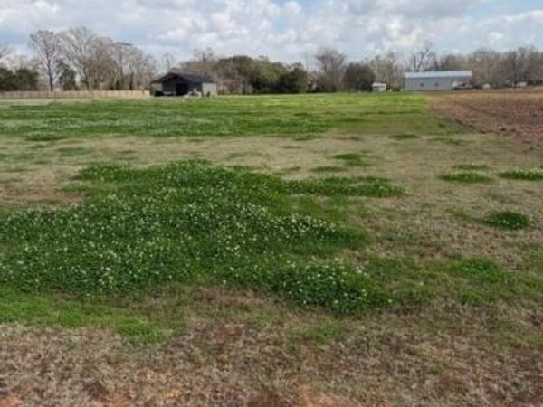 4574 NAVYS Way, Boyce, LA 71409