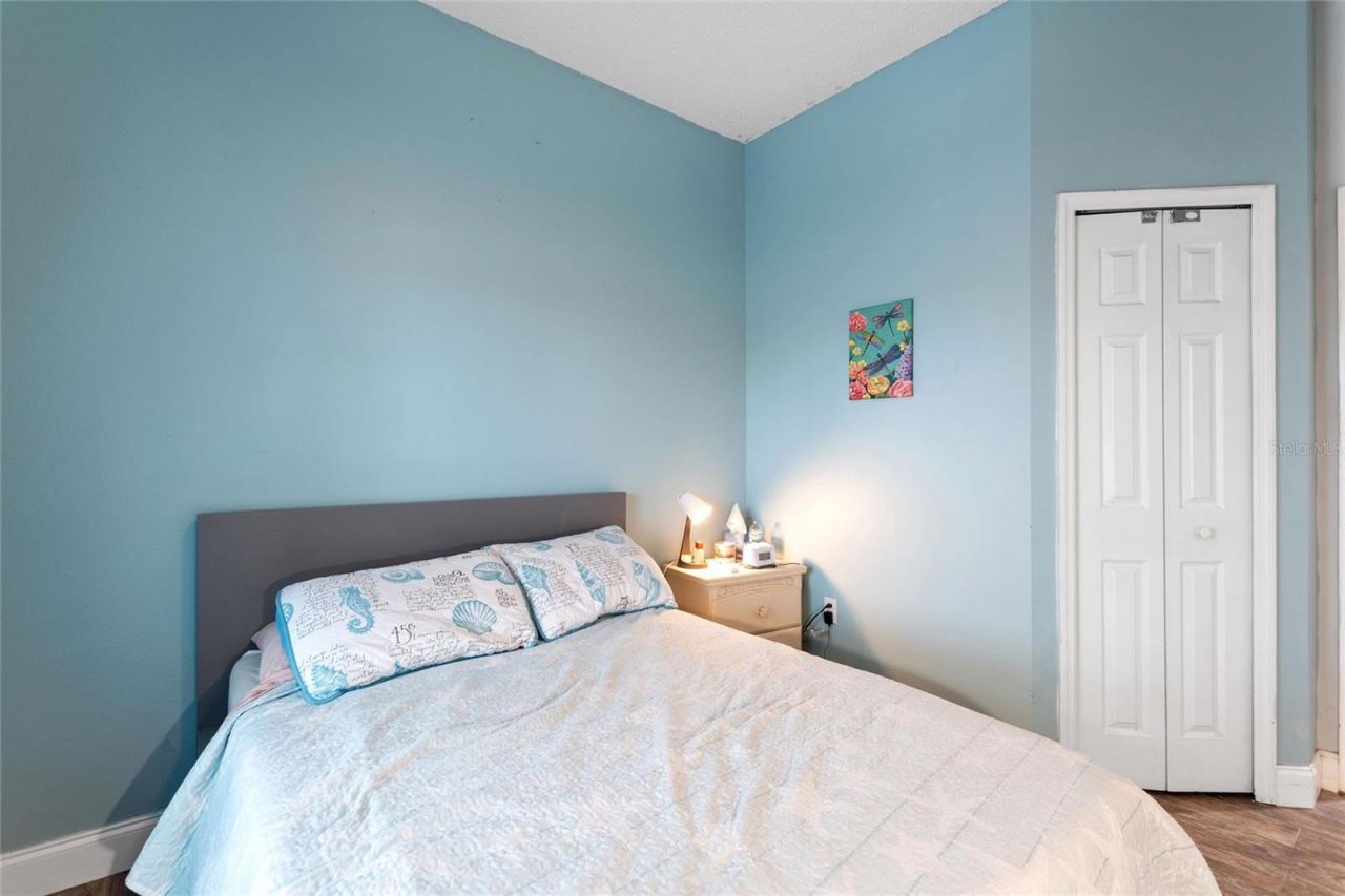 2520 Calla Lily Cove, Kissimmee, FL 34758 Photo