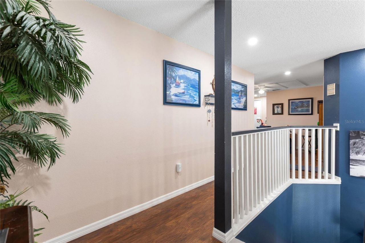 2520 Calla Lily Cove, Kissimmee, FL 34758 Photo